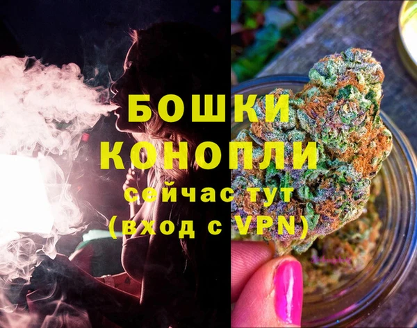 дживик Мегион