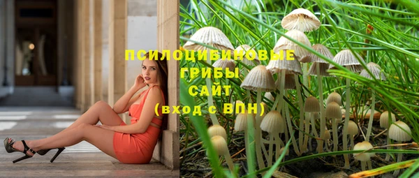 не бодяженный Магас