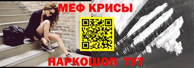 сатива Кингисепп