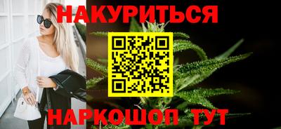 сатива Кингисепп