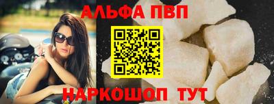 сатива Кингисепп