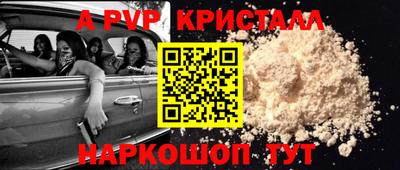 сатива Кингисепп