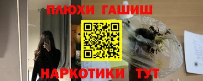 сатива Кингисепп