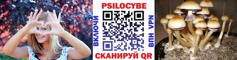 Галлюциногенные грибы MAGIC MUSHROOMS  наркошоп  Малоярославец 