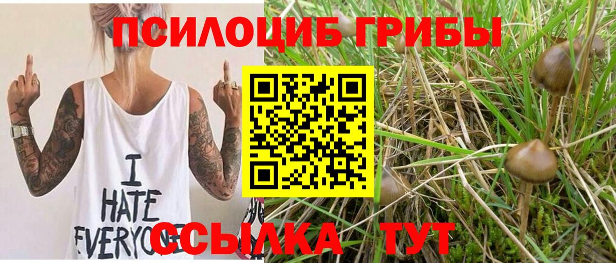 Малоярославец  Псилоцибиновые грибы мухоморы  Вход с VPN 